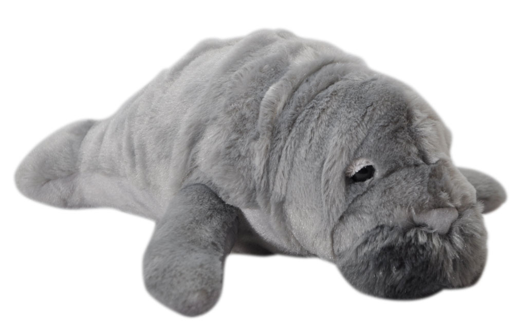 The Petting Zoo: 14" Conservation Manatee